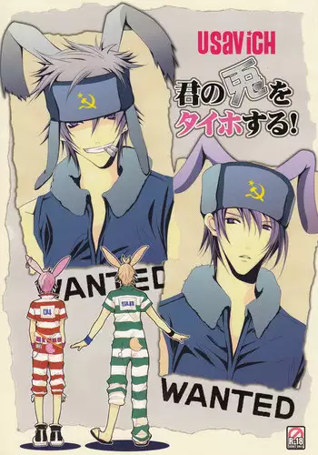 [Kurikoya (Hiyoshimaru Akira)] Kimi no Usagi o Taiho suru! (Usavich)