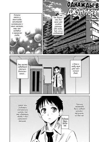 Однажды в джунглях