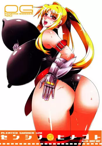 (C77) [HGH (HG Chagawa)] Pleated Gunner #20 Senshi no Himegoto (Part 2) (Mahou Shoujo Lyrical Nanoha) [English][_ragdoll]