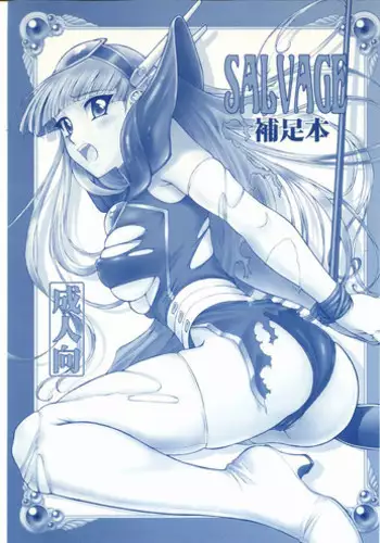 [VETO (ZOL)] SALVAGE Hosokubon (Magic Knight Rayearth)