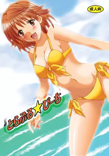 [Hyogetsu (Momonoki Fum)] Toraburu ☆ Beach (To Love-Ru) [English] [Kusanyagi]