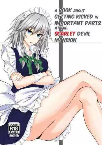 Koumakan de Daiji na Tokoro o Kerareru Hon | A book about getting kicked in important parts at the Scarlet Devil Mansion