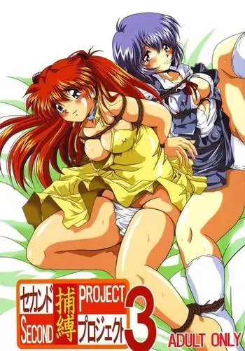 Second Hobaku Project 03