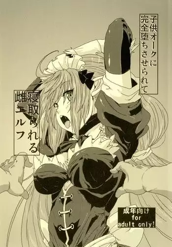 Kodomo Orc ni Kanzen Ochisaserarete Netorareru Mesu Elf