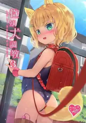 Seiyouken Choukyou 3