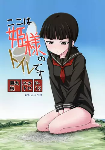 [Ochikonium (Various)] Koko wa Hime-sama no Toile desu [Chinese] [Digital]