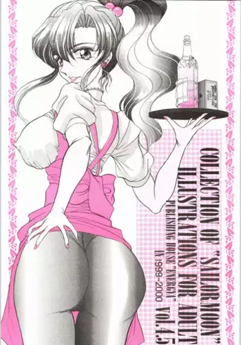 [ENERGYA (Roshiya No Dassouhei)] COLLECTION OF -SAILORMOON- ILLUSTRATIONS FOR ADULT Vol.4.5 (Bishoujo Senshi Sailor Moon)