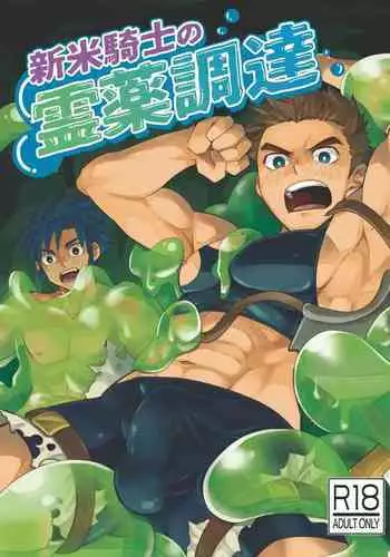 Shinmai Kishi no Reiyaku Choutatsu