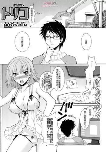 [Kujou Shirei] Toriko (Nyotaika Dynamites!) [Chinese] [个人汉化]