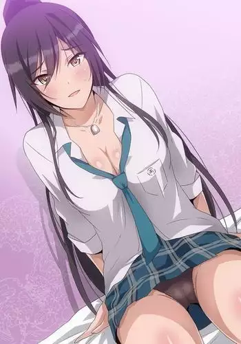 Shirase Sakuya Matome