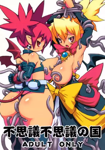 (C70) [NandeQ (Sakuemon)] In Wonderland Wonderland (Disgaea)