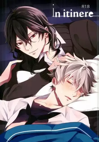 in itinere