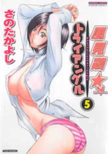 [Sano Takayoshi] Kazamidori Triangle 5