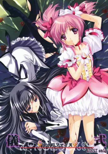 [High Risk Revolution] Ritual Sacrifice (Puella Magi Madoka Magica) [English] (Little White Butterflies + Trinity Translations Team)