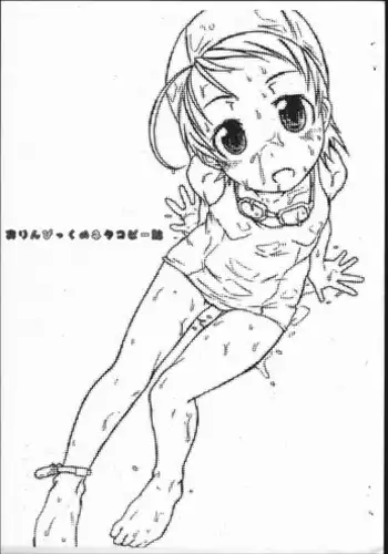 (C66) [shirando, Shoryutei, Studio Nama, ZETTAI SHOUJO] orinpikkuno neta copyshi